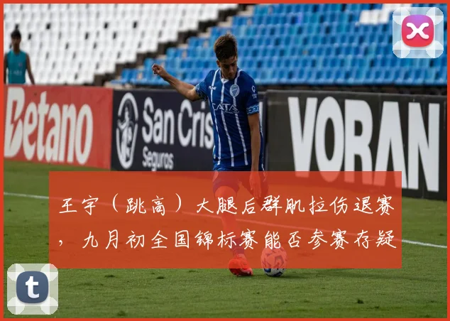 王宇（跳高）大腿后群肌拉伤退赛，九月初全国锦标赛能否参赛存疑